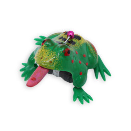 Sapo De Cuerdo