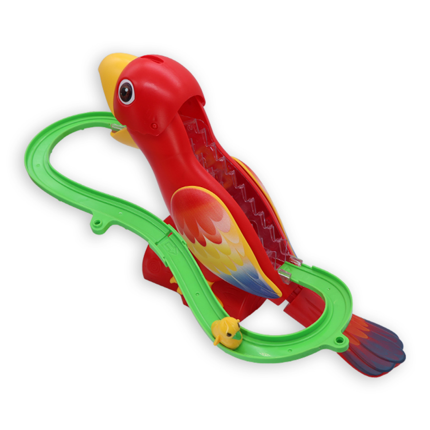 Pista De Pajaro
